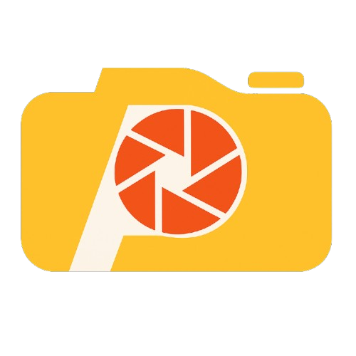 Picverse AI logo